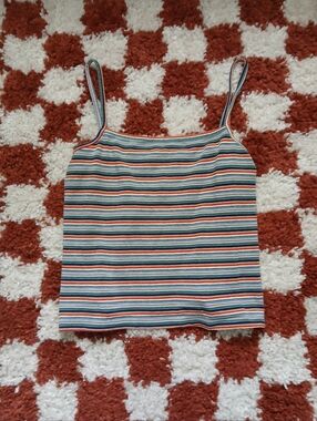 John Galt (Brandy Melville) Colorful Striped Cropped Tank
